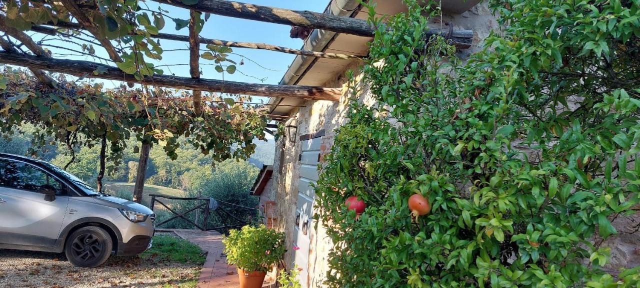 Agriturismo La Scarpaia Anghiari Zewnętrze zdjęcie