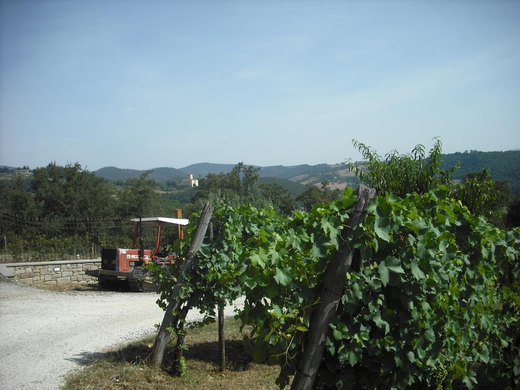 Agriturismo La Scarpaia Anghiari Zewnętrze zdjęcie