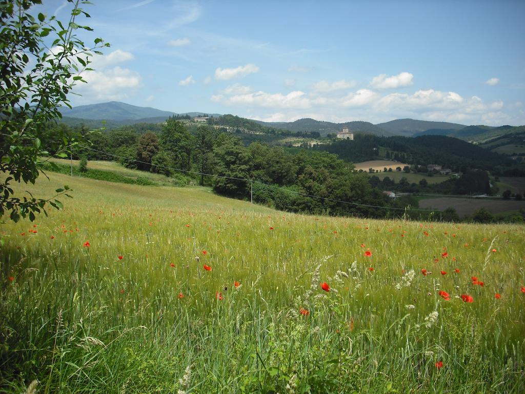 Agriturismo La Scarpaia Anghiari Zewnętrze zdjęcie