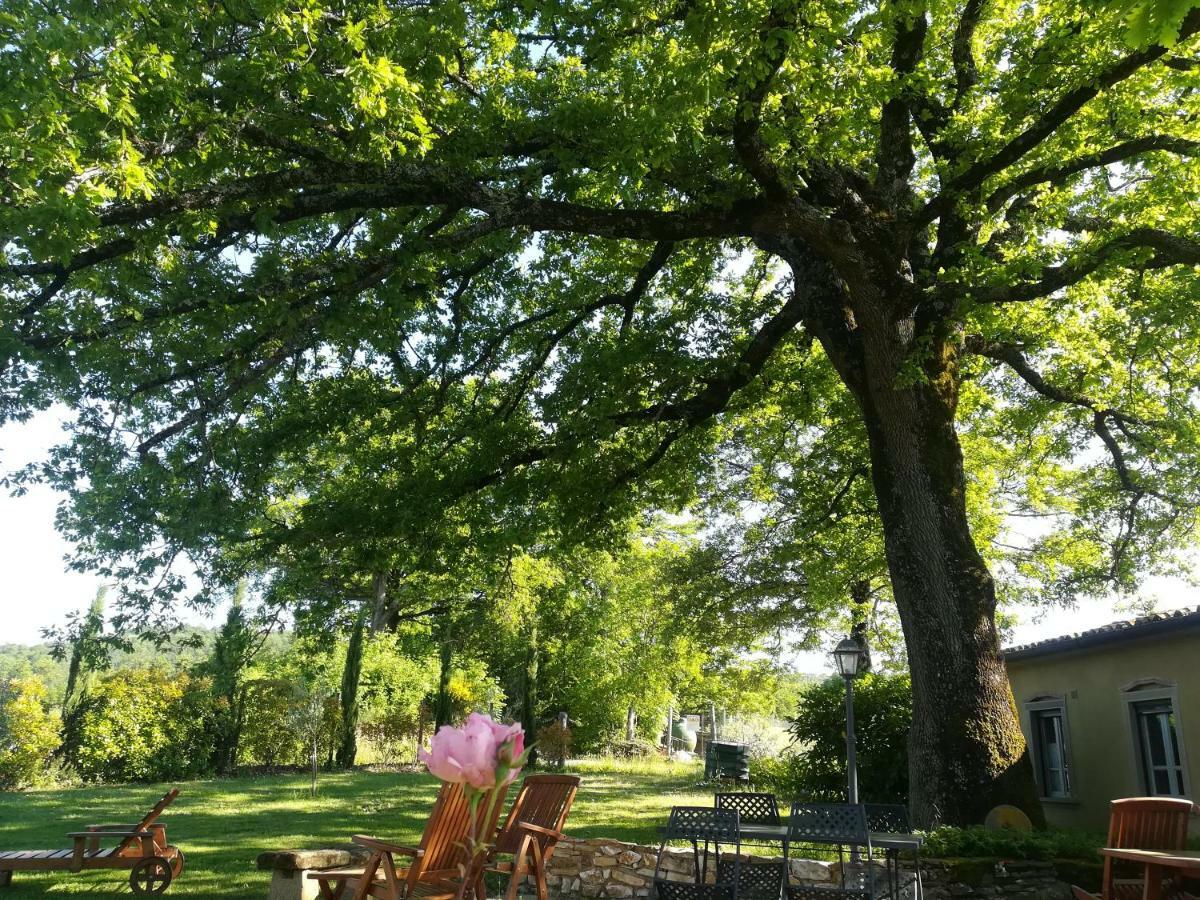 Agriturismo La Scarpaia Anghiari Zewnętrze zdjęcie